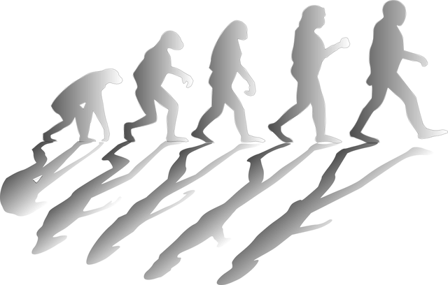 evoluční vývoj člověka